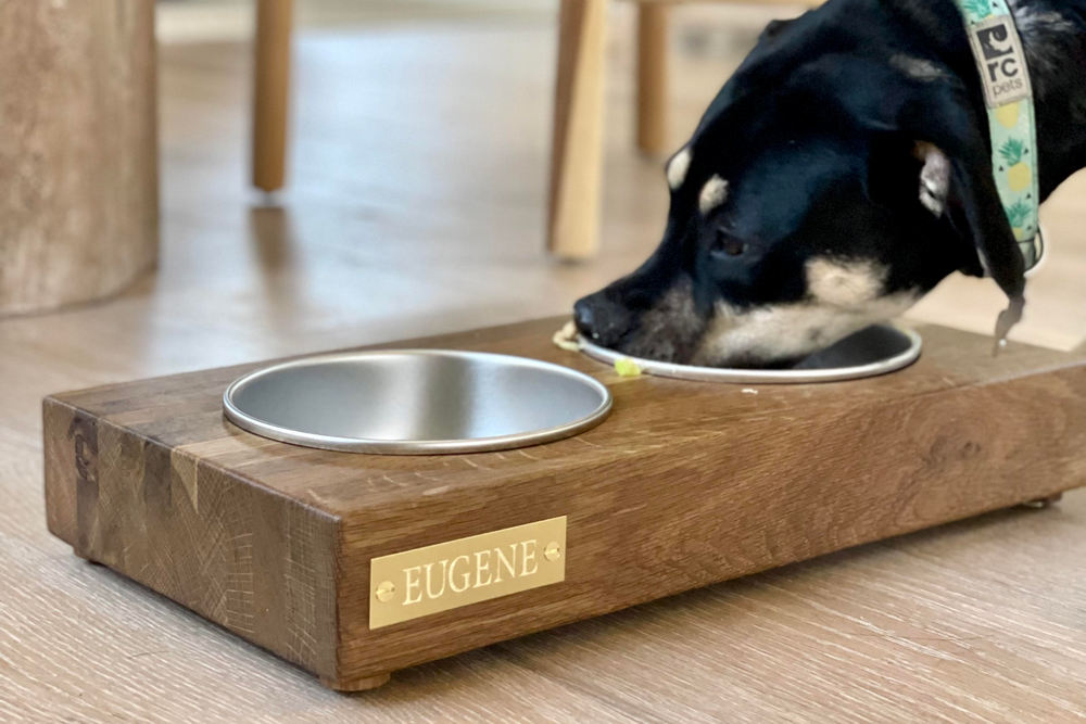 Kismet Dog Bowl with Athena Calderone